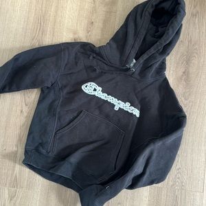 Champion hoodie